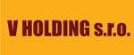 v holding