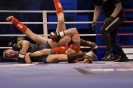 Noc válečníků 17 - Foto Aleš Povondra