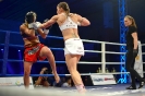 Noc válečníků 17 - Foto Václav Konrád