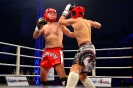 Noc válečníků 17 - Foto Václav Konrád